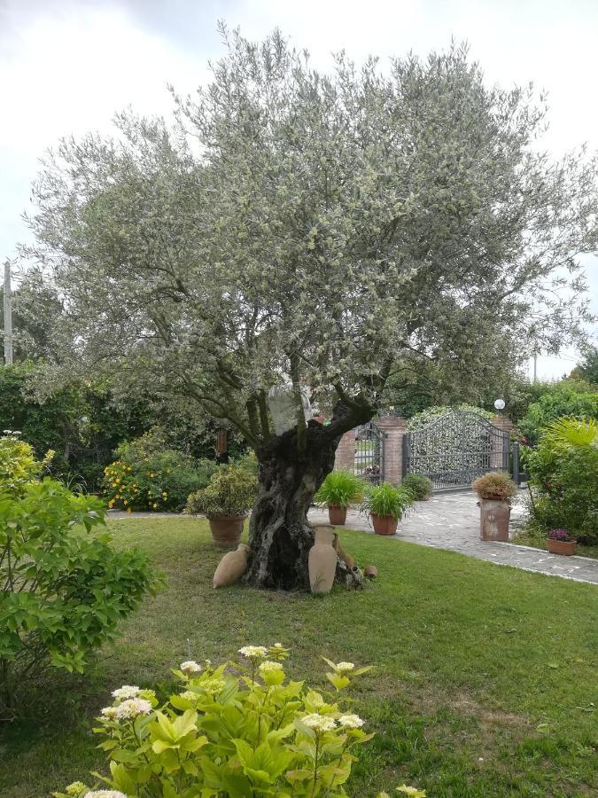 Hotel Casa Pianta Cavallino-Treporti Exterior foto